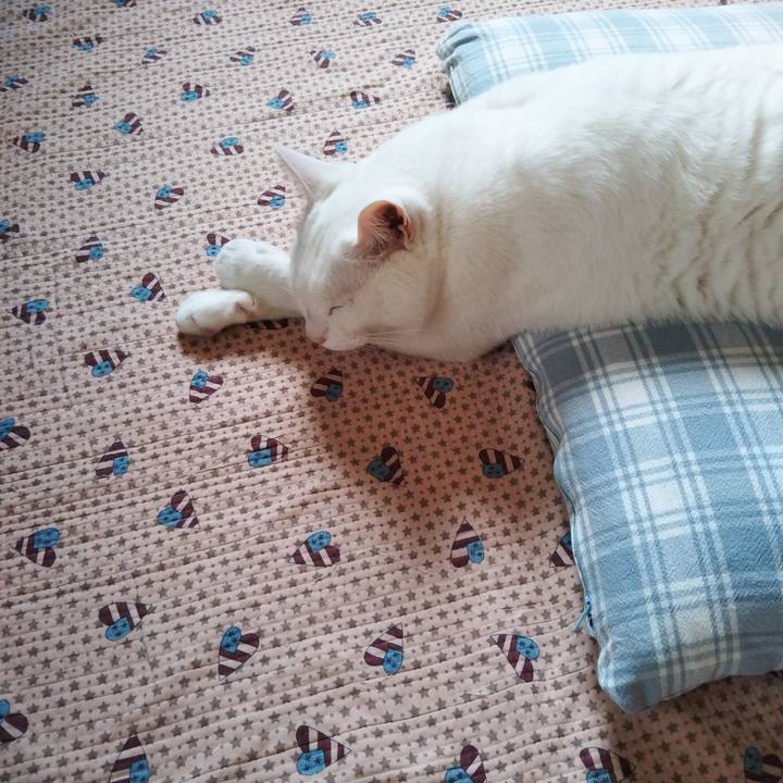 F0c2b589 4643 4d29 8fa8 c08a6266f949 1588739368776