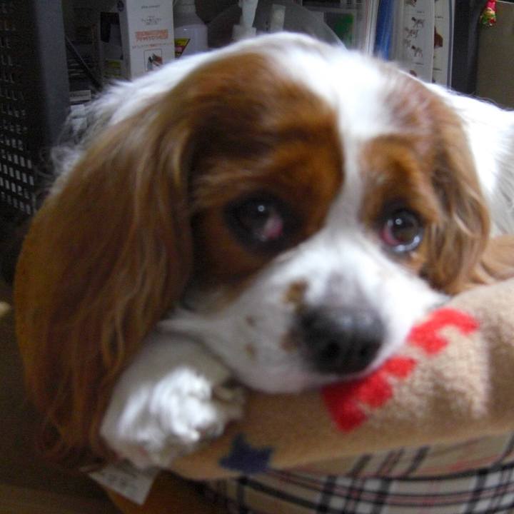 F0c2de88 744b 49e0 9c89 043ea1595a5e 1549118494095