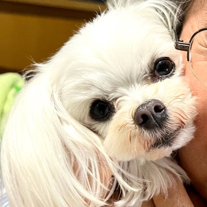 F0c2dee0 368e 4cba 9d2c 6b064086606b 1676200423458