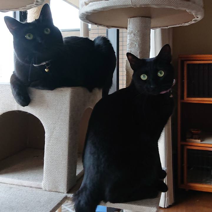 F0c30284 325f 47c7 aeea a0c1ca6e69d7 1555195234759