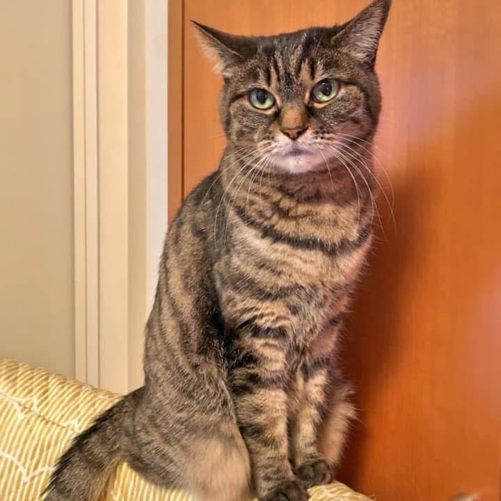 F0c323da 21eb 4f91 b2bb 659a75e272e9 1769316151095