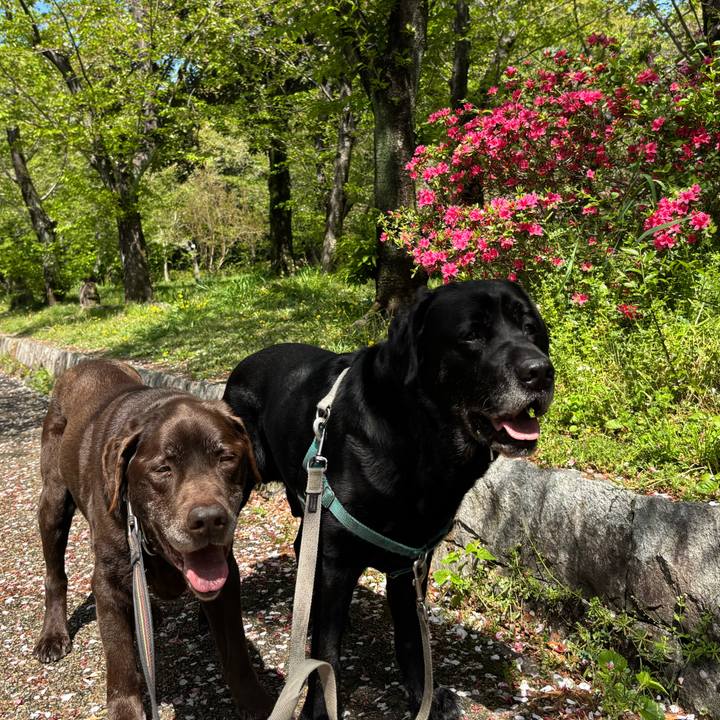 F0c32809 75b1 4434 b0c4 f4e552bdb6f6 1776084645010