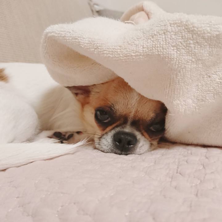 F0c33cf0 963f 4af2 bdbb 4ed7a5f00878 1570005030496