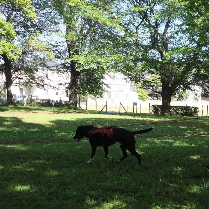 F0c36228 4b7e 415e a215 1c289a8a3c05 1681865221108