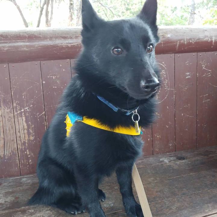 F0c3d7d0 1ae9 44a9 92cf 781ba82ee245 1585537474067