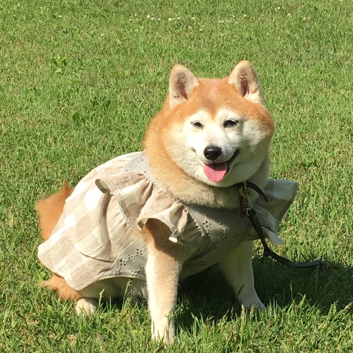 F0c3f009 9ce9 4695 9cb0 b21244614063 1591361669912