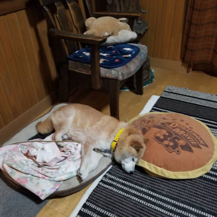 F0c4062c 8825 4f87 aa4a 6c73d1d4cbf4 1688041559785