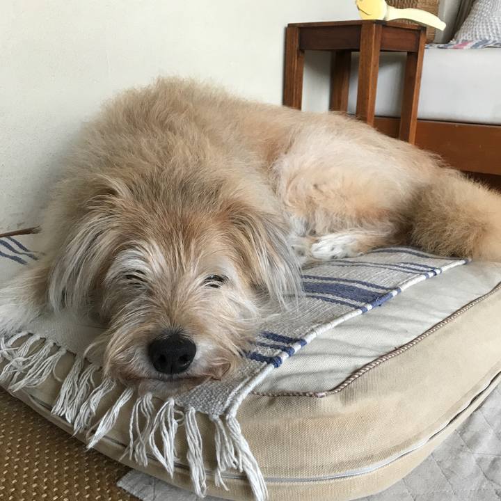 F0c45b5a 1549 4e76 aa0a 95776b34284b 1562631486966