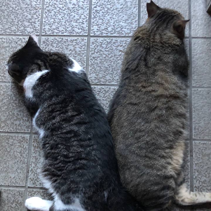 F0c46988 0c53 42b7 a4e4 facd3c8899d8 1565850286844