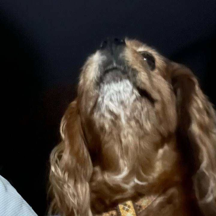 F0c474be c8c5 4a8a 8ba9 016cf6c9969e 1717672858697