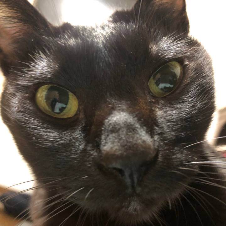 F0c475fe 50c3 49ec a875 bbe5114eae19 1737554135569