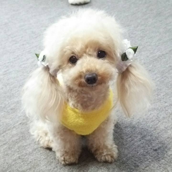 F0c48f0a 411e 4806 8c39 e0e154c6c11a 1537875350726