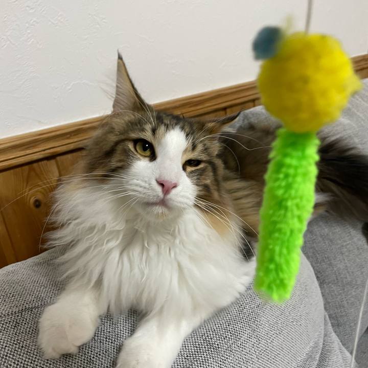 F0c4f881 fefc 45c2 952f 671f55abffc9 1639604882350