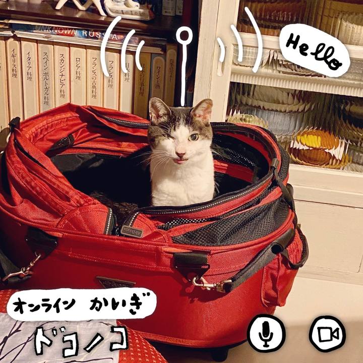 F0c5259f 8c1c 425c a91b 63d70e4491e2 1592143344465