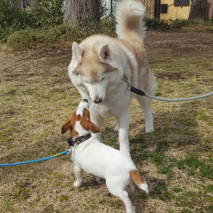 F0c52d60 69f7 4d7c b3f3 1c01cc918da1 1552185516908