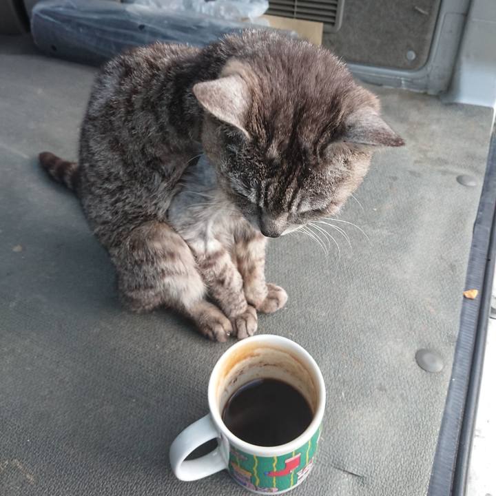 F0c531cd 788c 435d a293 13d3bebb250b 1591387281997