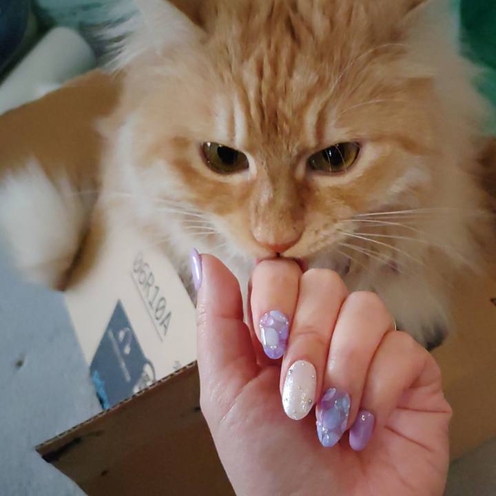 F0c554d4 0711 4da6 9ee3 b1e95a56f0b5 1684824311733