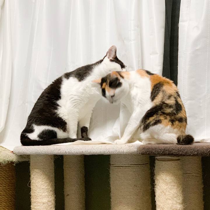 F0c58402 f2a9 46ca adbf c442d18d0dd0 1565314874917