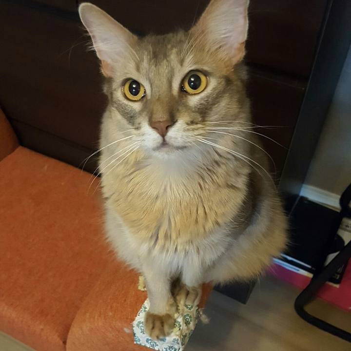 F0c599fa 9e8f 4fe4 b60d 48ef0000c1c3 1567946508709