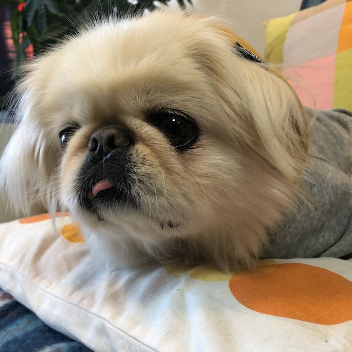 F0c5ab31 a8b3 43f3 9f4a c13bf620f7b7 1543019866672