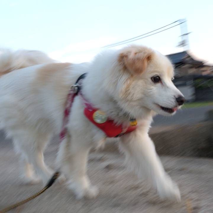 F0c6233c 6e66 4e1e b3f5 7f427840f4a7 1654120169241