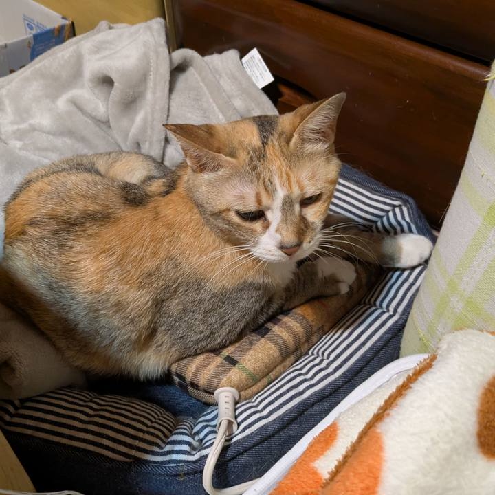 F0c65147 c401 4c10 bde1 4b1630640e66 1760895536495