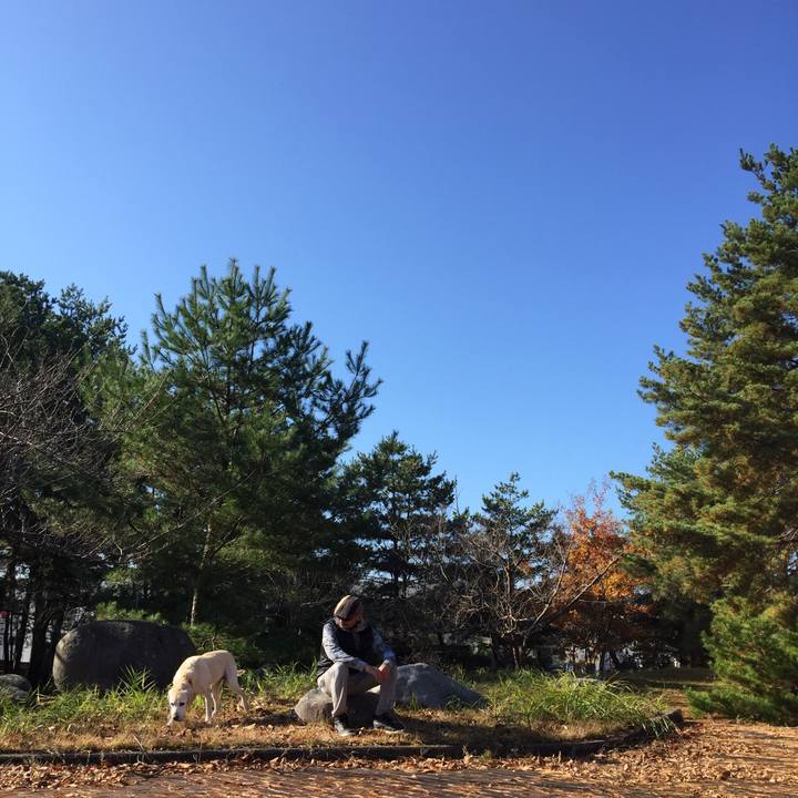 F0c68b28 25f2 40b8 945f ebb1121df7fd 1575888791167