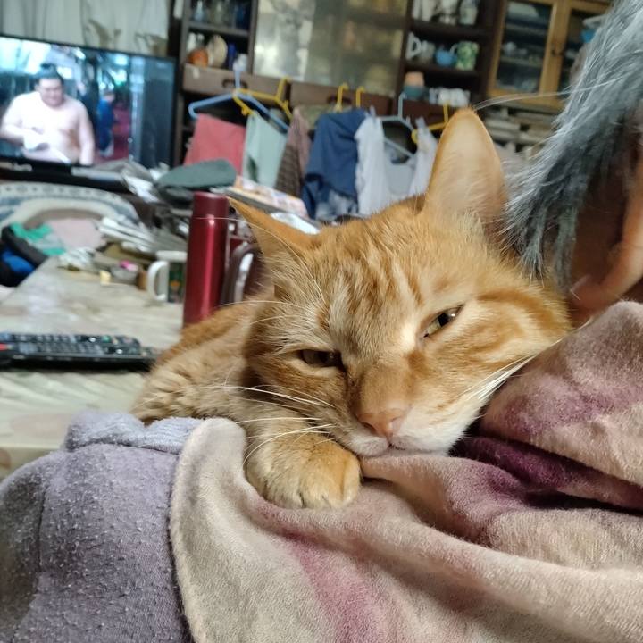 F0c691be aa5a 4d02 8bda beced1a5d9fb 1742636712163