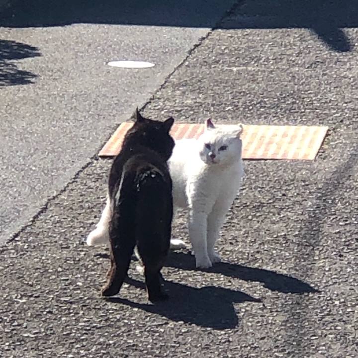 F0c6d82e bb8c 4916 83a3 8d87f717e740 1614735636989