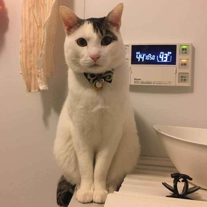 F0c77320 a0d2 4f1a 8845 2899256cacf9 1511799963685