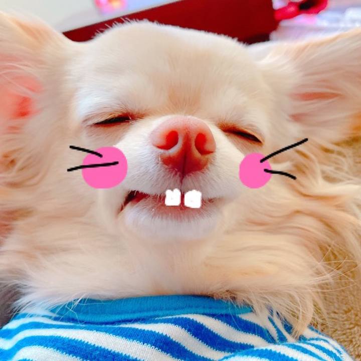 F0c7877d 8924 4454 aca8 a086b41340fc 1643433810833