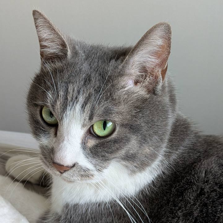 F0c78889 4751 4699 9c9a 7140426e36d5 1746092792760