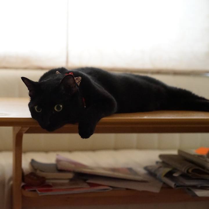 F0c78de3 7b83 41f5 be65 042923104d55 1532475969713