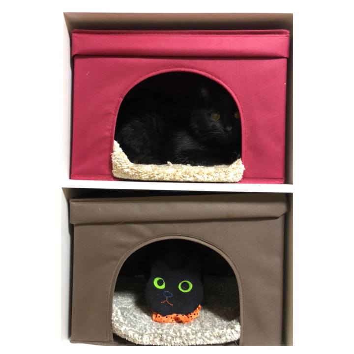 F0c79927 b2a3 474e 901d 67a518c7b178 1605887538358