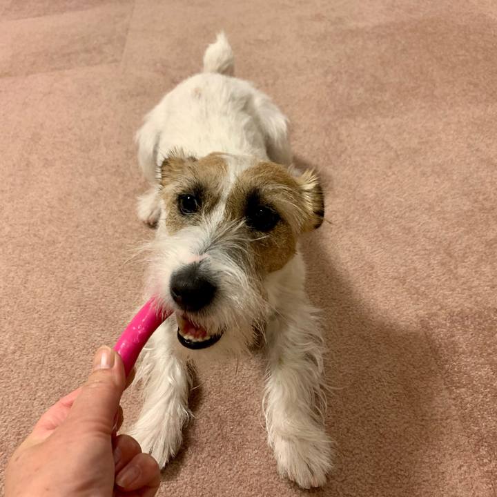 F0c7e77c e02f 4417 bf1f cc6d75b4b467 1616678529300