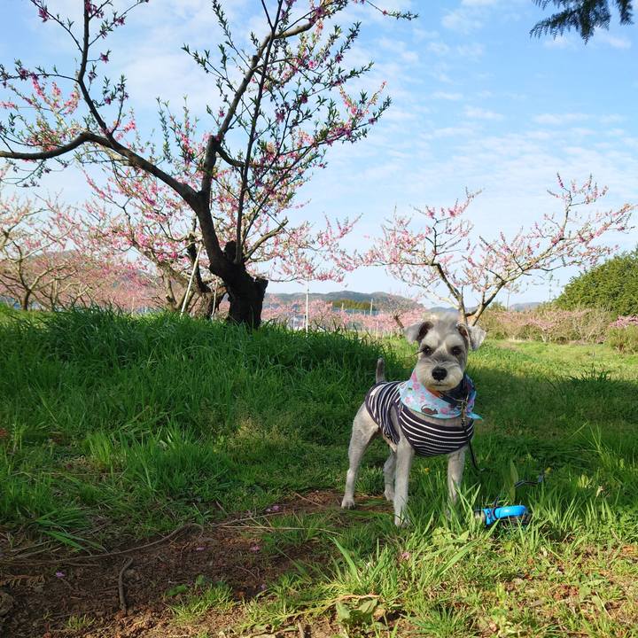 F0c7f7f6 8550 47cd a864 0b6a1305ab75 1776468275802