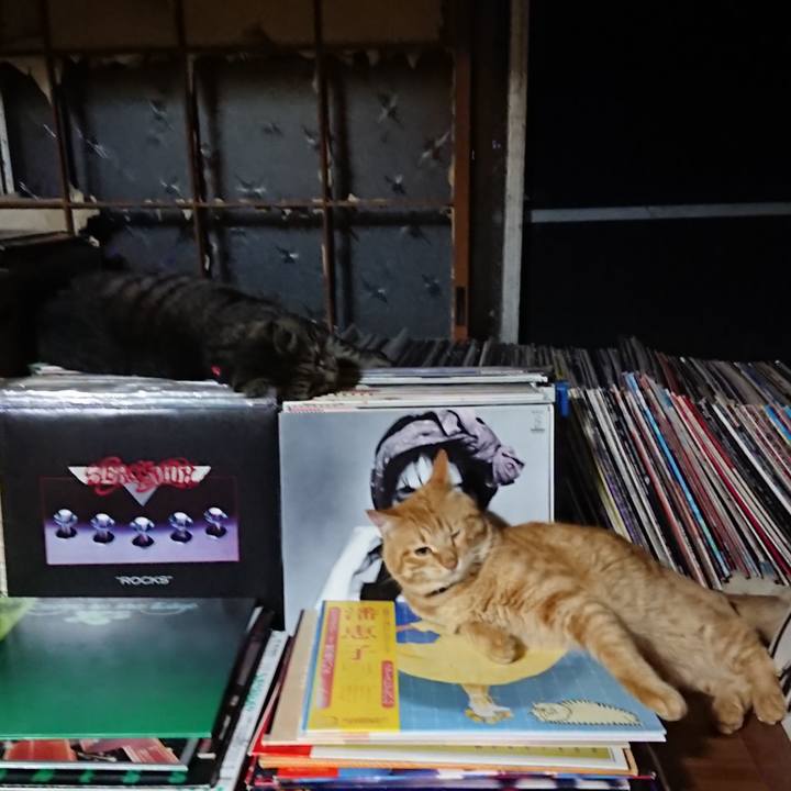 F0c80b7e 6305 4886 9d0f 8caf32460100 1656938146436