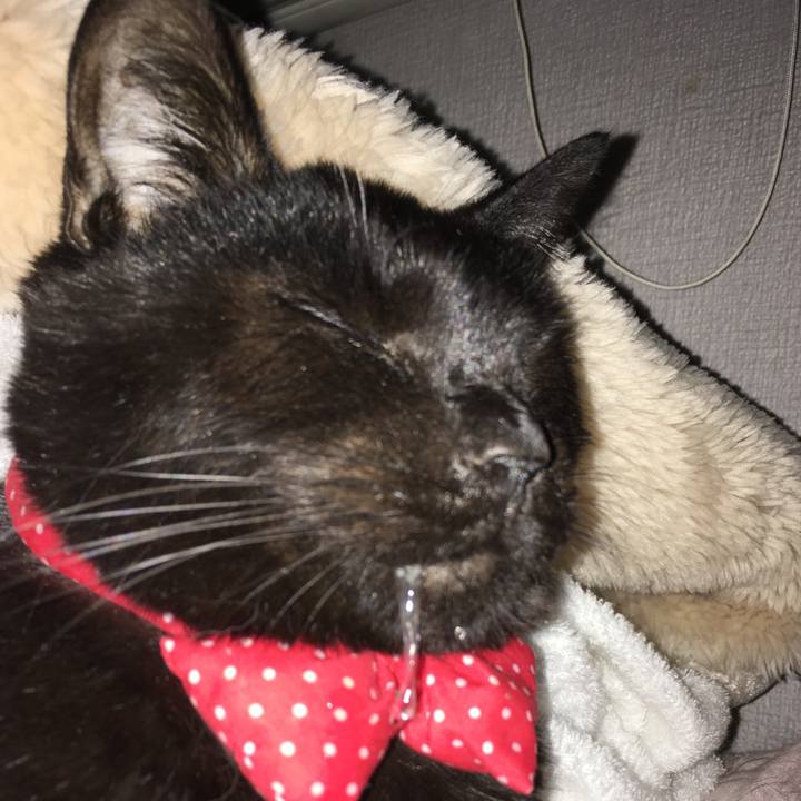 F0c81077 6607 40fd a004 a19975496b73 1551990855350