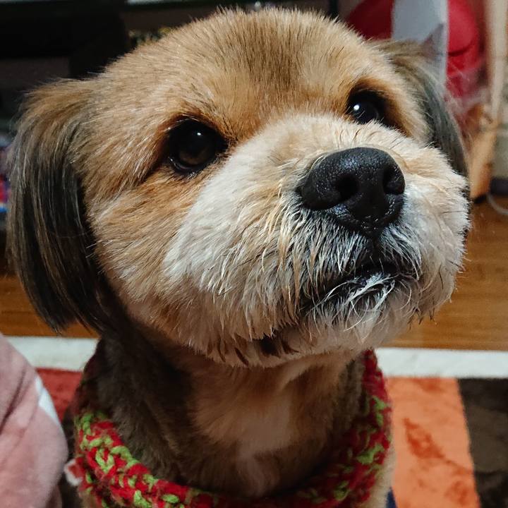 F0c821e9 cc08 417b 9ce4 af8cfbc78545 1550787519704