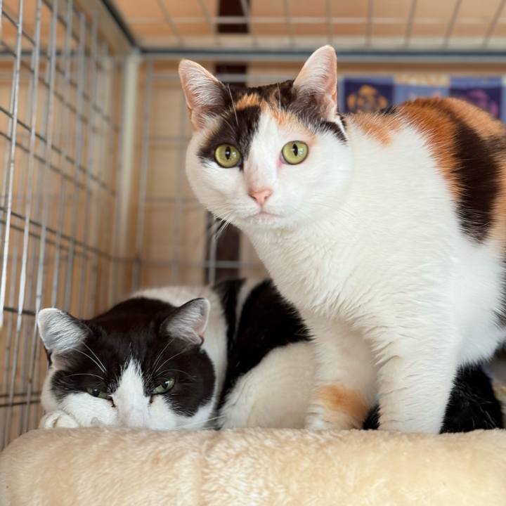 F0c83a39 1b22 443c b3b3 b0df038525ee 1746150682365