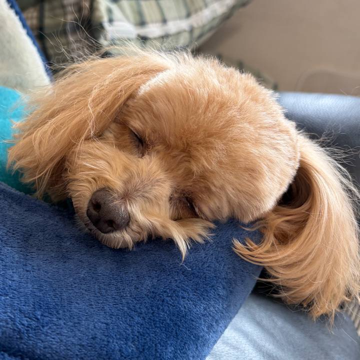 F0c84948 4ab6 4e83 81d5 01ca0c65684d 1770524665085