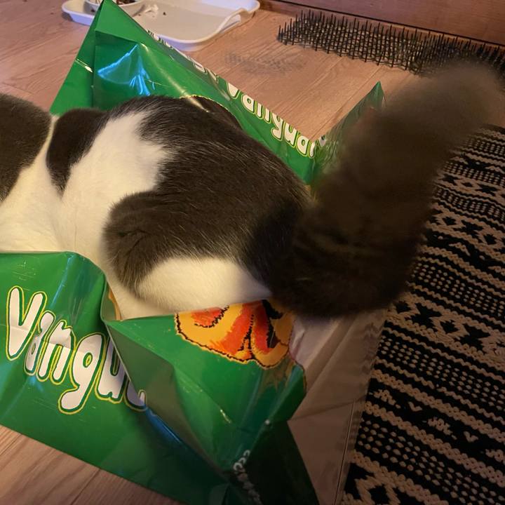 F0c88875 8dc7 418a 9ee9 dfc1573c70ff 1657320740897