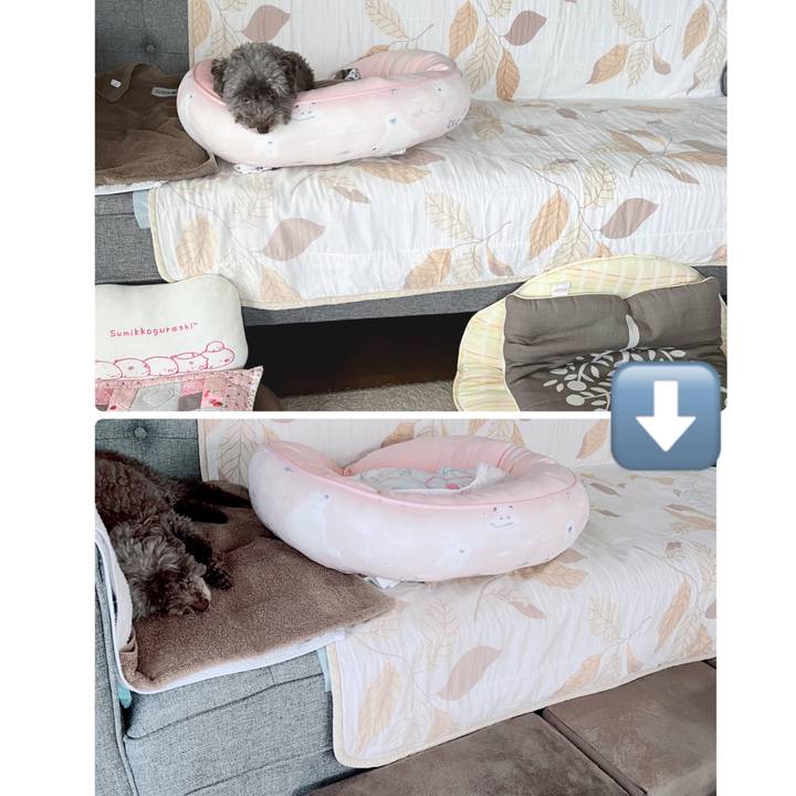 F0c8b2c8 7689 4be4 a122 99bdead0f9a7 1695423661797