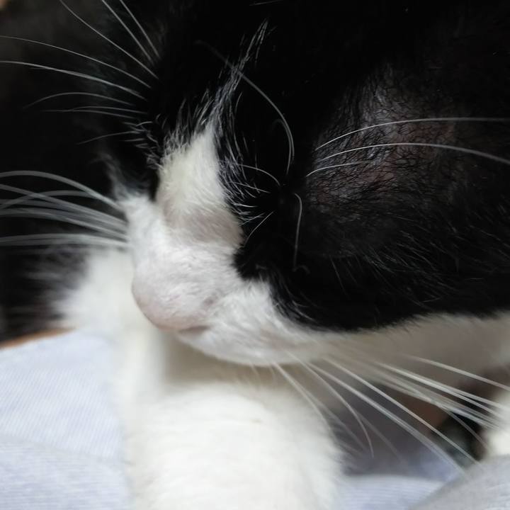 F0c8cb95 4fb6 4113 8c2c a5187599f29e 1594631385589