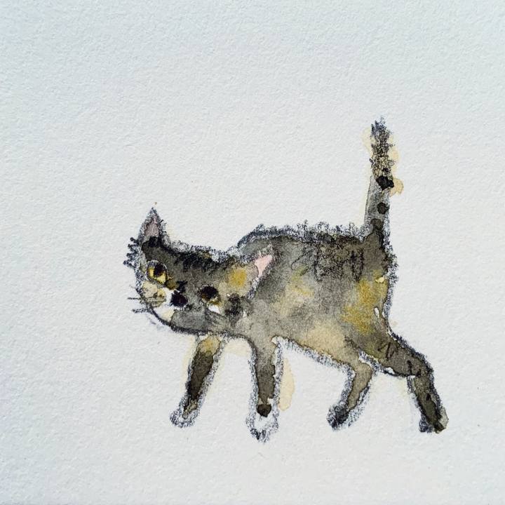 F0c90494 de75 4a51 b5d6 a69e100cb99b 1630460564083