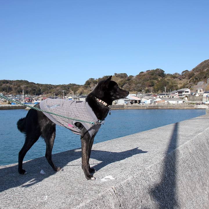 F0c907a0 e38f 4cf0 b5ae fc361ba491f9 1612226988135