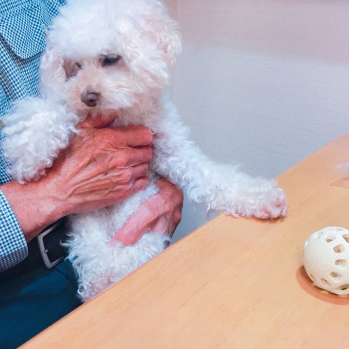 F0c93864 5350 471b 8b64 8dec6c030200 1536621271193