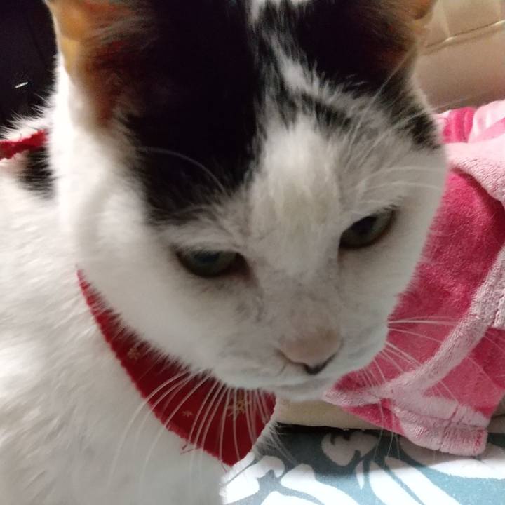 F0c958a2 ea8d 4a13 891f 094709be9ac3 1765575569898