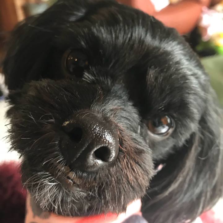 F0c961b9 5937 4906 8070 ce0a18bb4471 1523751102736