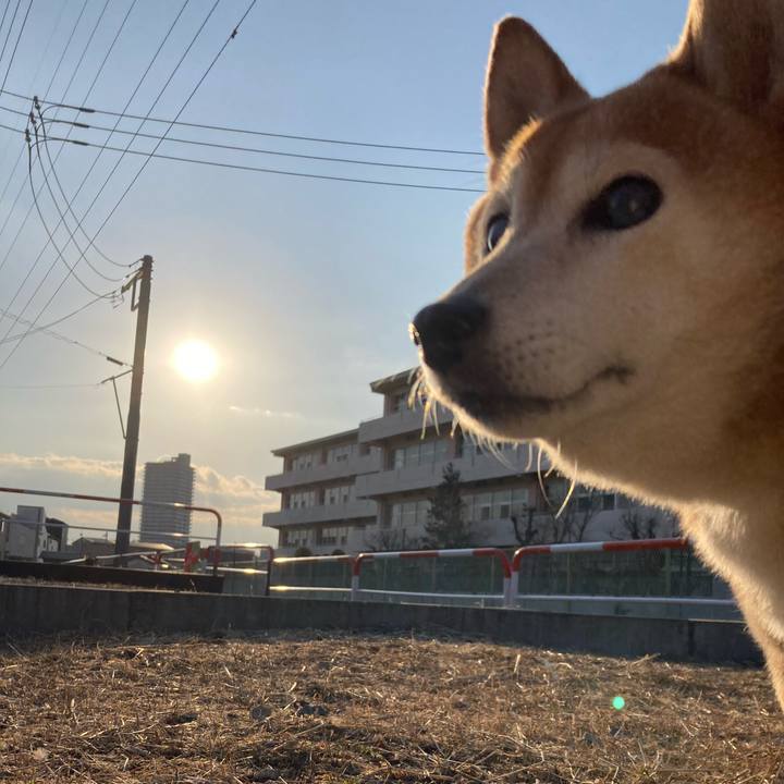 F0c9ae24 1023 466c 8a71 0b61bde7fa12 1707554708846